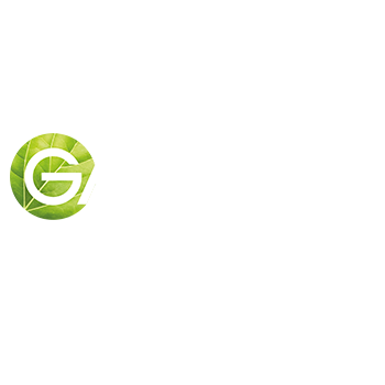 Garnier PureActive